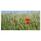 Designart - Rural Landscape with Red Poppies - Large Landscape Canvas Art